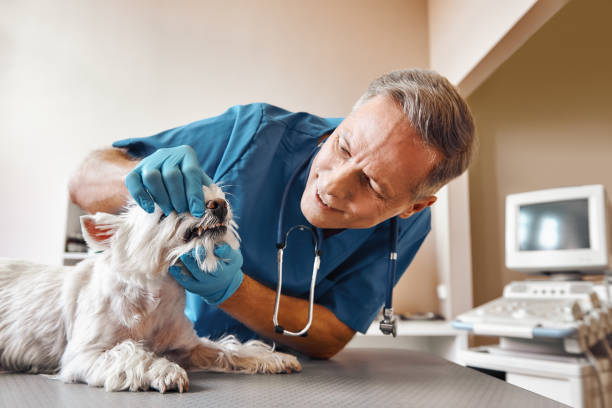 Best Same-Day Emergency Appointments in University Of Virginia, VA